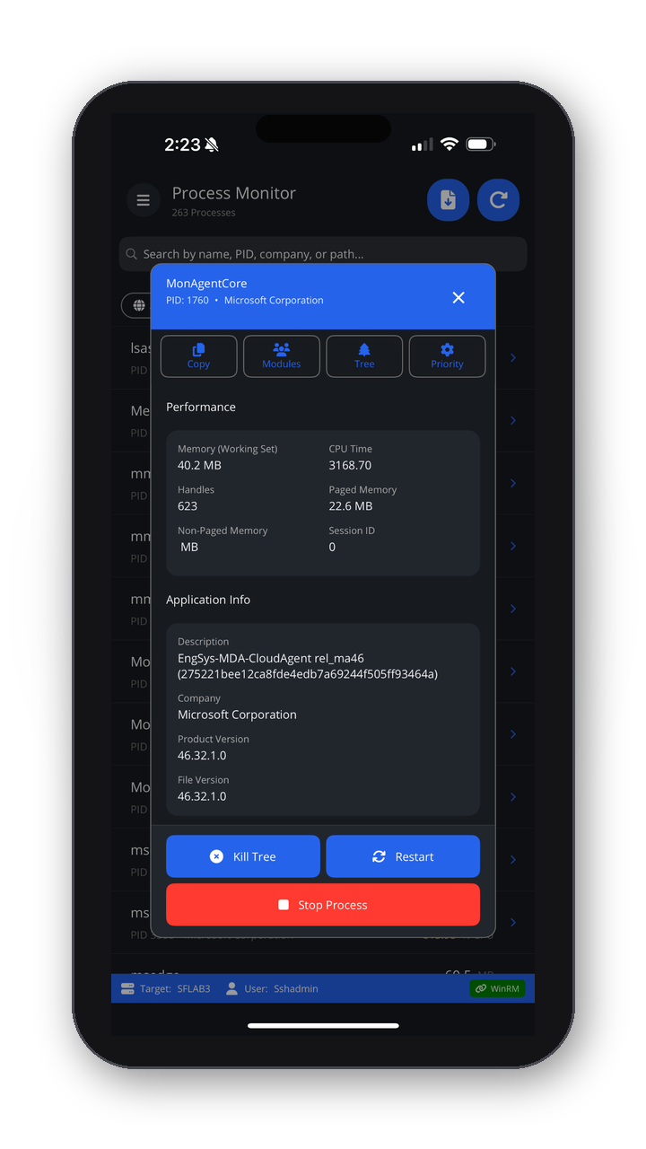 WinPulse screenshot 17