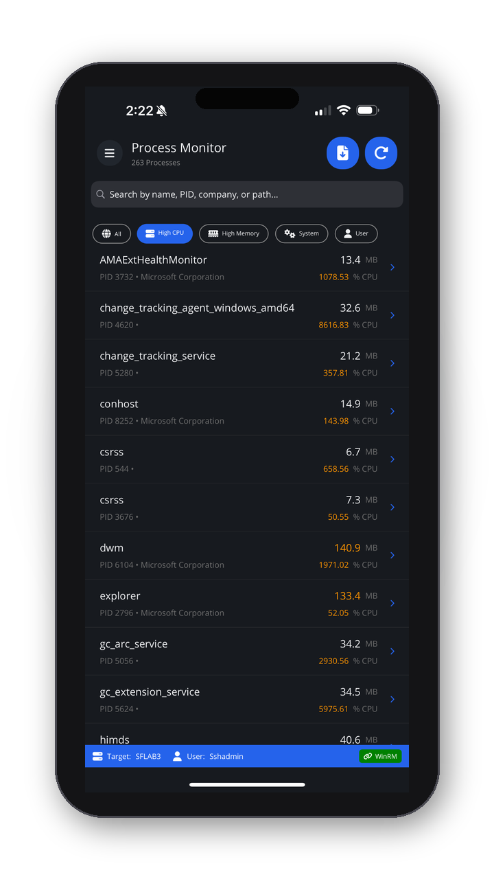 WinPulse screenshot 3