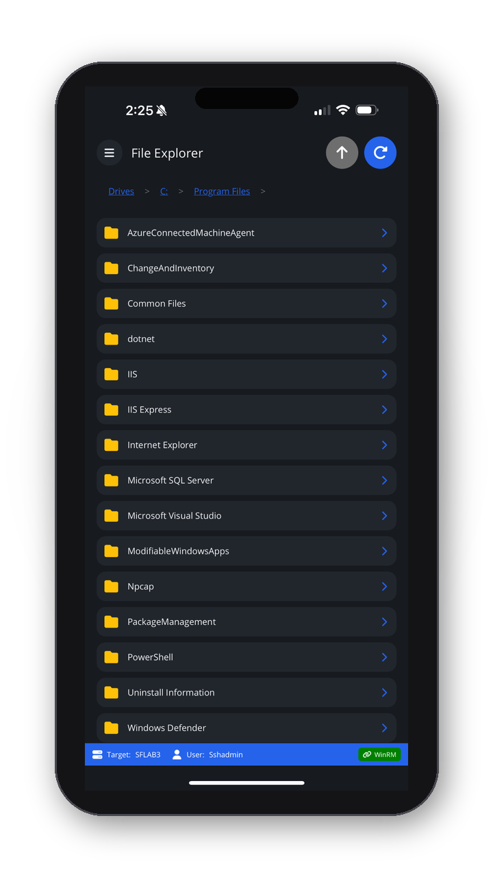 WinPulse screenshot 7